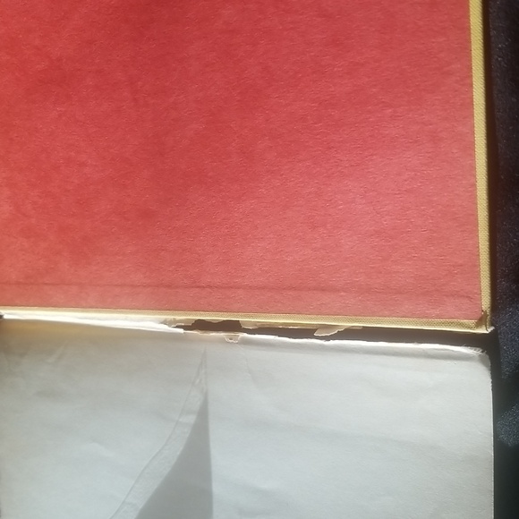 Mr. Petersand's Cats- book by Louis Slobodkin - Picture 5 of 16